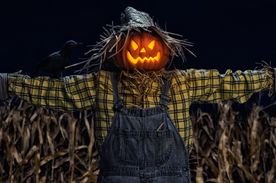 Scarecrow Contest